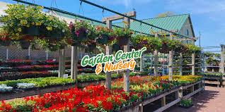 Shop From A Reliable Source